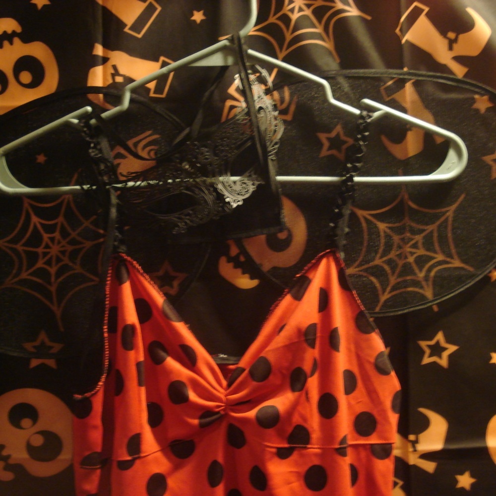 Adult Ladybug costume
